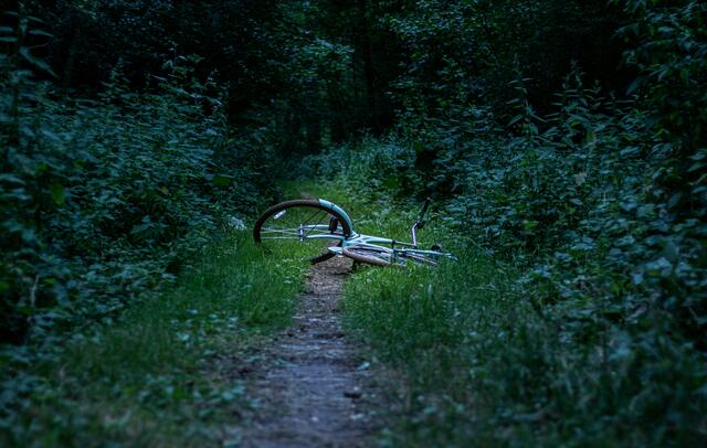 Insbesondere Frauen konsumieren viele True Crime Inhalte. | Foto: Joël in 't Veld auf Unsplash