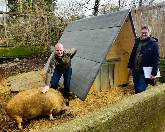 Schlüsselübergabe an die Kunekune-Schweine im Welser Tiergarten: Rammerstorfer und Zoologe Gyula Gajdon inspizieren die neue Tierbehausung aus recycelten Baustoffen. | Foto: Stadt Wels/Rammerstrofer