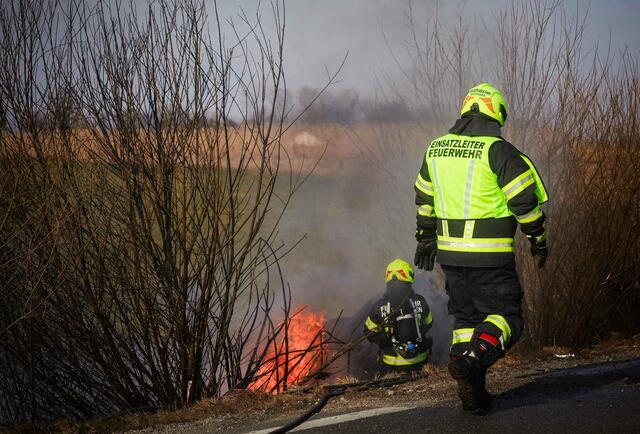Foto: Daniel Scharinger