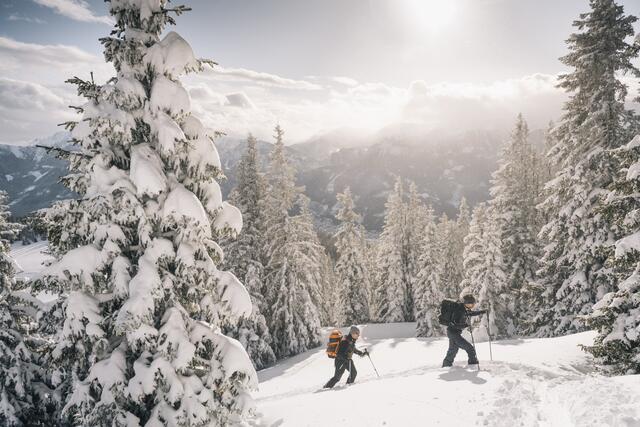 Das Basisbudget 2025 für den Nationalpark Gesäuse beträgt 2,45 Millionen Euro, wovon jeweils 50 Prozent von Bund und Land stammen. | Foto: Stefan Leitner