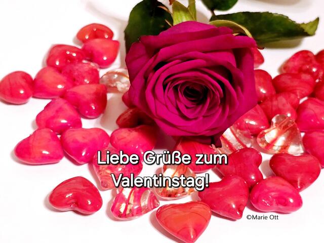 Liebe Grüße zum Valentinstag!