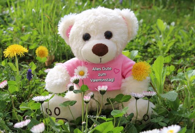 Alles Gute zum Valentinstag!