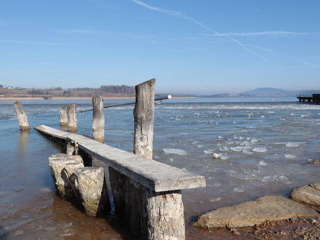 Am Wallersee  | Foto: Martina Laserer 