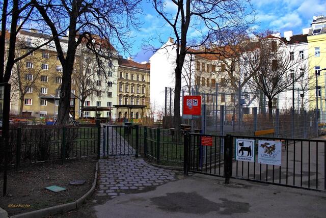 Im Herbst soll der Rubenspark bereits umgebaut werden. | Foto: Heinrich Moser