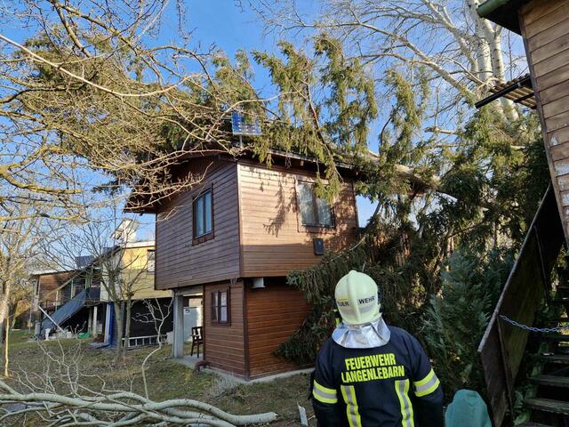 Ein Baum war aufgrund des Sturms am Wochenende auf ein Haus gefallen.  | Foto: FF Langenlebarn