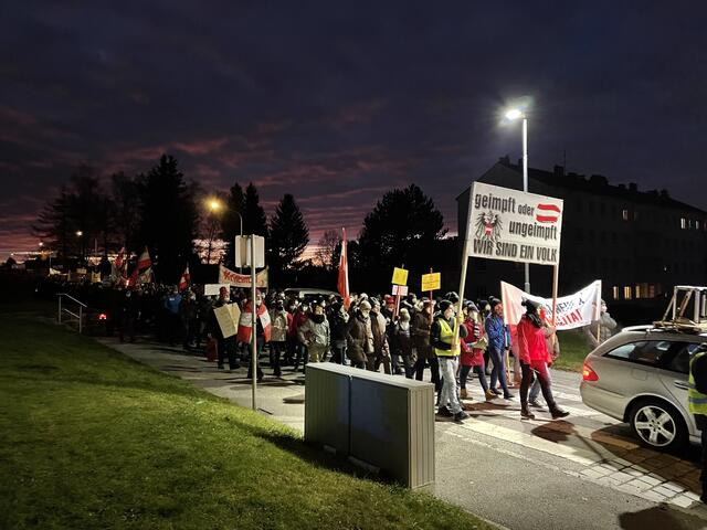 Protestmarsch gegen die Impfpflicht. | Foto: Pilz