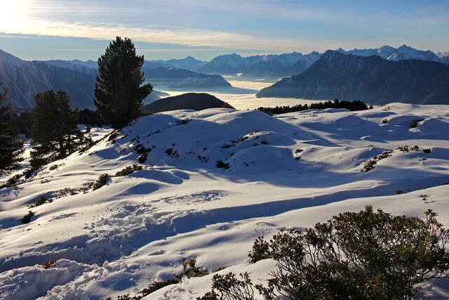 Blick ins nebelbedeckte Inntal im Hintergrund! | Foto: Hermann Heinz