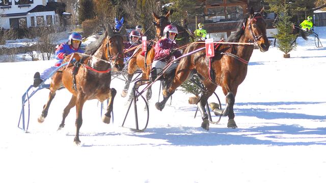 Rassiger Pferdesport in Reith. | Foto: Kogler