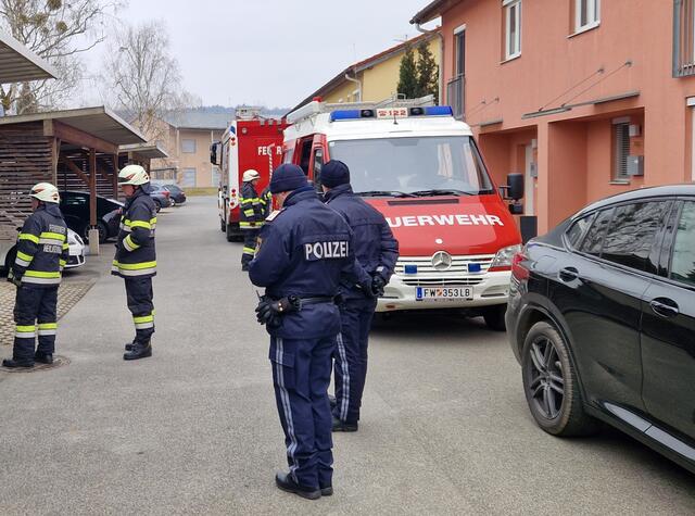Die Feuerwehr rückte mit 13 Mann und zwei Fahrzeugen aus und konnte das Kleinkind innerhalb weniger Minuten aus dem Fahrzeug befreien. | Foto: FF Heiligenkreuz