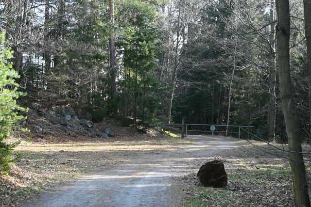 Da endet/beginnt der Forstweg und ich komme auf die Zufahrtsstraße zu einigen Häusern