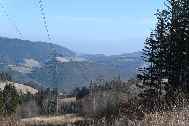 Ich komme auf den Fahrweg Richtung Speckbacher Hütte und Ausblick nach der anderen Seite