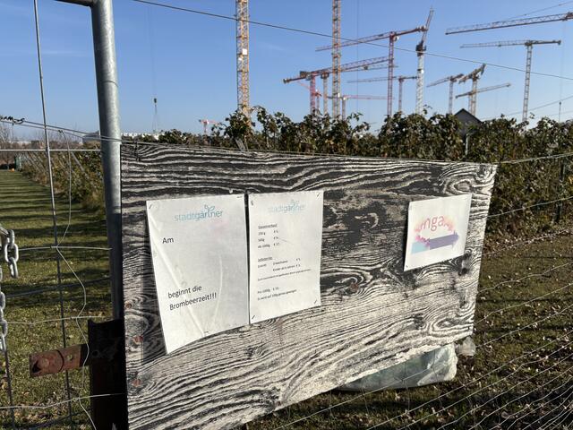Foto: Luise Schmid/MeinBezirk