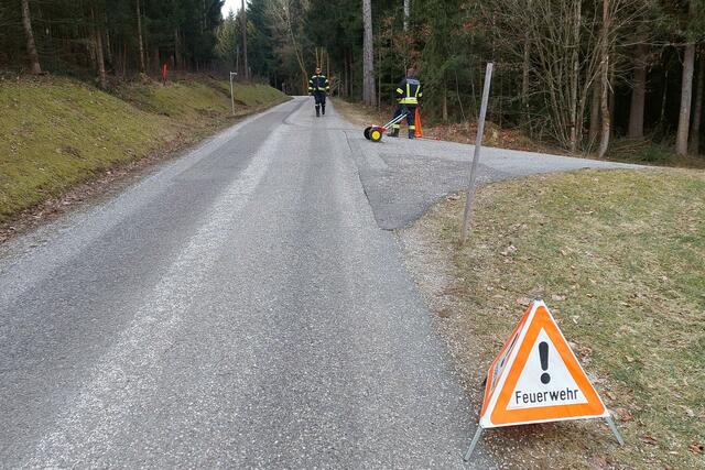 Foto: Alois Braid/zema-medien.de