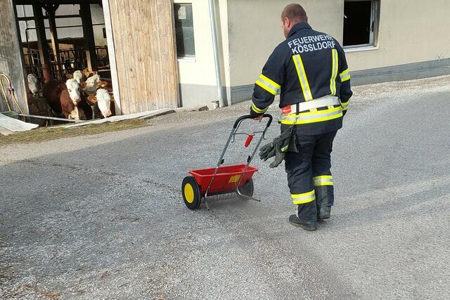Foto: Alois Braid/zema-medien.de