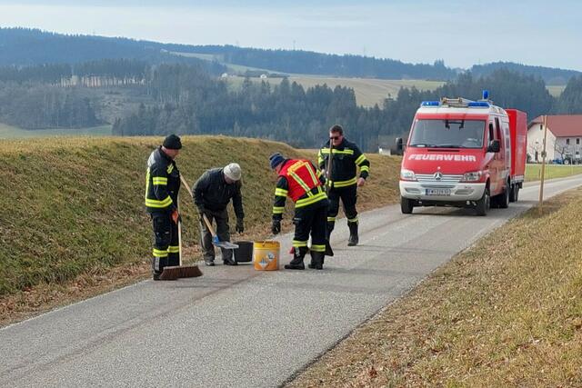 Foto: Alois Braid/zema-medien.de
