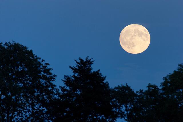 Die Kraft des Mondes nutzen: Vollmond-Yoga in Wieselburg. | Foto: Fotolia