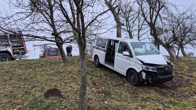 Der Fahrer wurde verletzt, die Kinder blieben unverletzt. | Foto: BFVDL