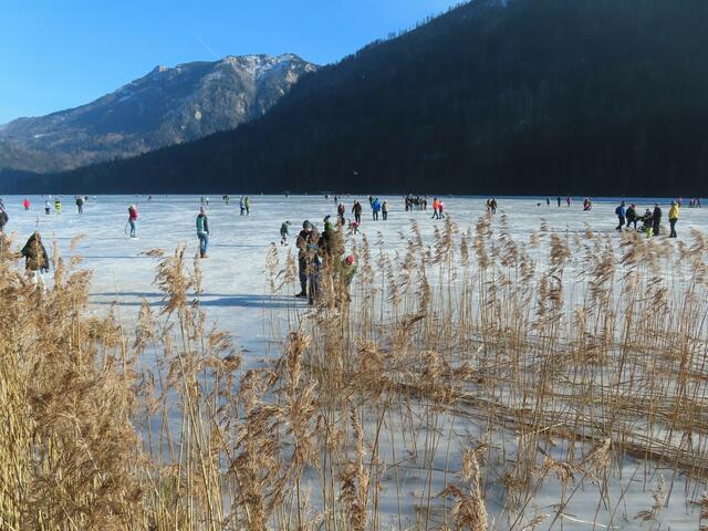 Der Lunzer See ist momentan von einer dicken Eisschicht bedeckt. | Foto: Rudolf Kößl