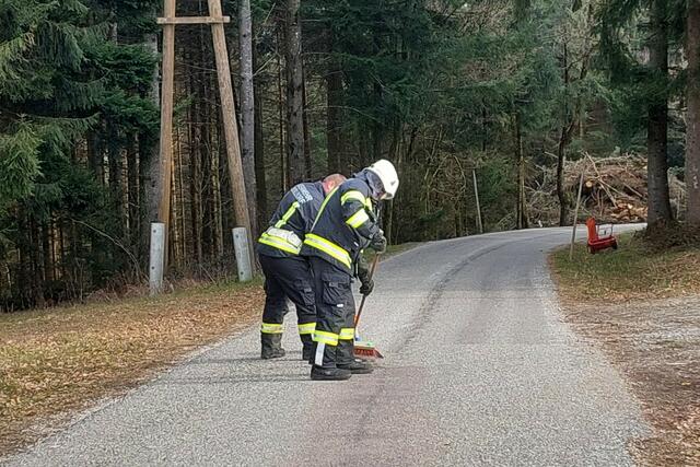 Foto: Alois Braid/zema-medien.de