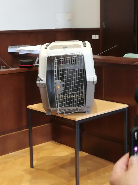 Neuer Vorhabensbericht zum Hundebox-Fall: In dieser Box wurde der Bub stundenlang eingesperrt. Opferanwalt Timo Ruisinger forderte Schmerzensgeld vom Land. | Foto: Kurt Berger