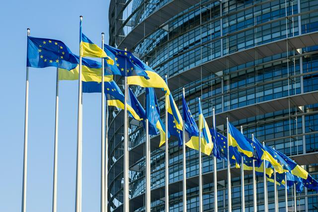Die EU-Richtlinie hat laut der EU-Kommission zum Ziel, einen funktionierenden Sekundärmarkt für notleidende Kredite zu fördern. 