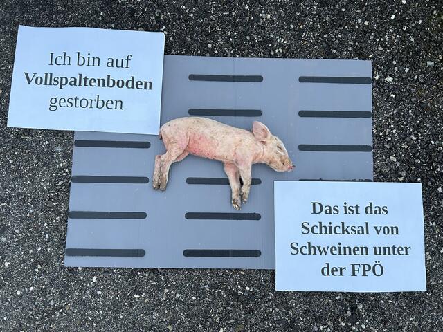 Protest gegen Tierschutzabbau im Regierungsprogramm | Foto: VGT.at