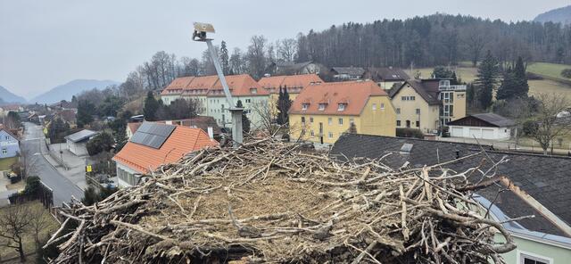 Seit den 70ern ist das Storchennest ein fester Bestandteil der Marktgemeinde Deutschfeistritz, nun wurde es umfassend saniert. | Foto: Marktgemeinde Deutschfeistritz / Meike Brucher