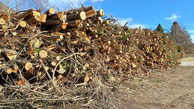 Ausbeute vom Abholzen am Preiner Bach. | Foto: -Che-