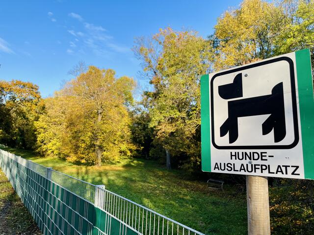 Ein neuer Zaun soll künftig im Draschepark Konfliktsituationen zwischen Hunden und Fußgängern oder Radfahrern verhindern.  | Foto: BV23/Esther Genitheim