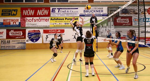 Vor heimischem Publikum mussten sich die Volleyballerinnen aus Purgstall an der Erlauf leider gegen die Gäste aus Tirol geschlagen geben. | Foto: ASKÖ Purgstall