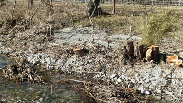 Preiner Bach. | Foto: -Che-