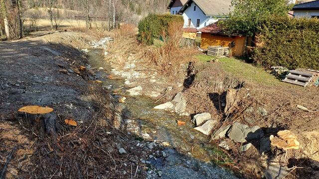 Schön karg: der jetzige Bewuchs beim Preiner Bach. | Foto: -Che-
