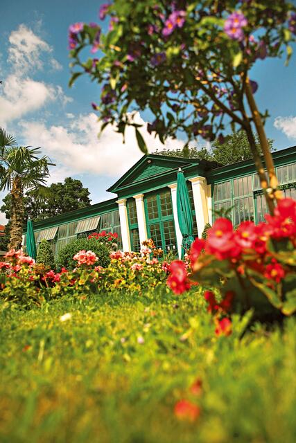 Die 14. internationale Orchideenausstellung geht von 15. bis 30. Mai in der Orangerie und dem Konventgarten des Stifts über die Bühne.  | Foto: Jürgen Skarwan