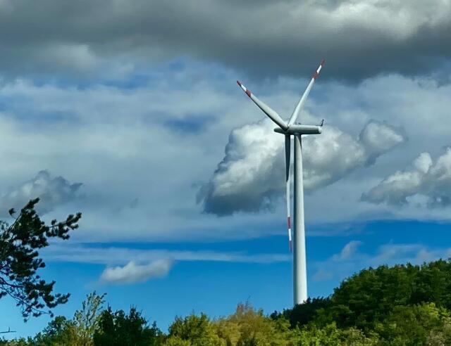 Viele Details müssen noch geklärt werden, fix ist aber schon, dass sich Schönberg als Standort für Windräder gut eignen würde. | Foto: Symbolfoto: Elisabeth Peinsipp 
