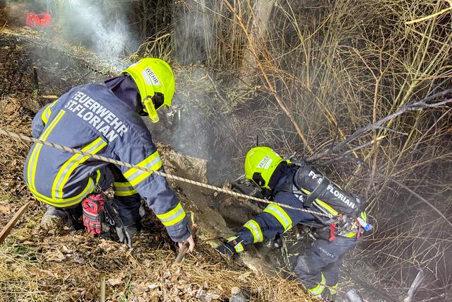Foto: TEAM FOTOKERSCHI / WERNER KERSCHBAUMMAYR