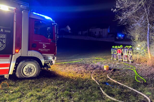 Foto: TEAM FOTOKERSCHI / WERNER KERSCHBAUMMAYR