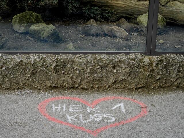 Kissingpoint im Salzburger Zoo | Foto: Zoo Salzburg Angelika Köppl