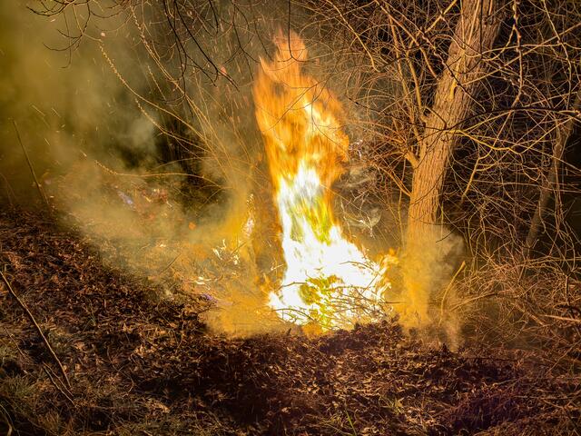 Foto: TEAM FOTOKERSCHI / WERNER KERSCHBAUMMAYR