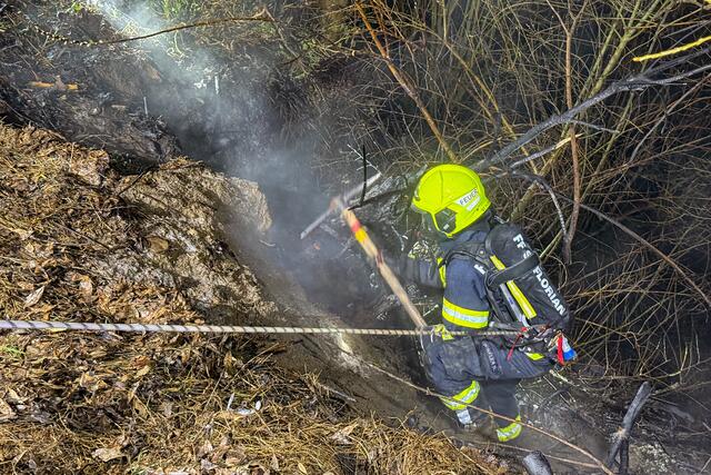 Foto: TEAM FOTOKERSCHI / WERNER KERSCHBAUMMAYR