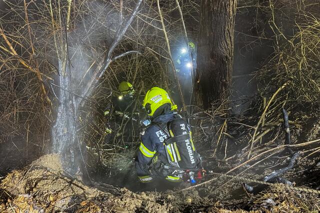Foto: TEAM FOTOKERSCHI / WERNER KERSCHBAUMMAYR
