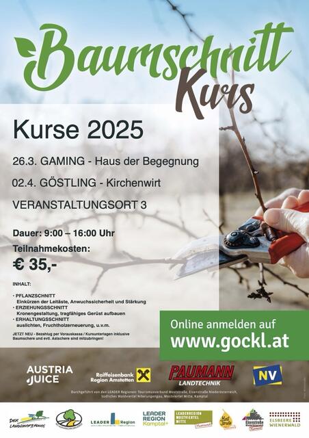 Obstbaumschnitt leicht gemacht: Die Eisenstraße Niederösterreich und die Moststraße bieten drei spannende Kurse im Bezirk Scheibbs an. | Foto: Mostsraße