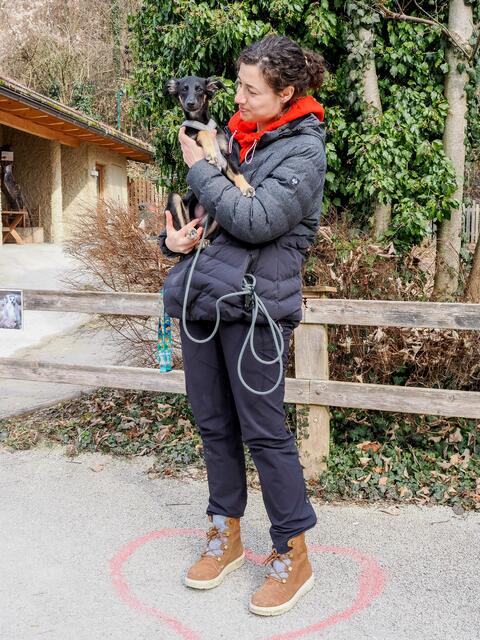 Kissingpoint im Salzburger Zoo, Frauchen Hund | Foto: Zoo Salzburg Angelika Köppl