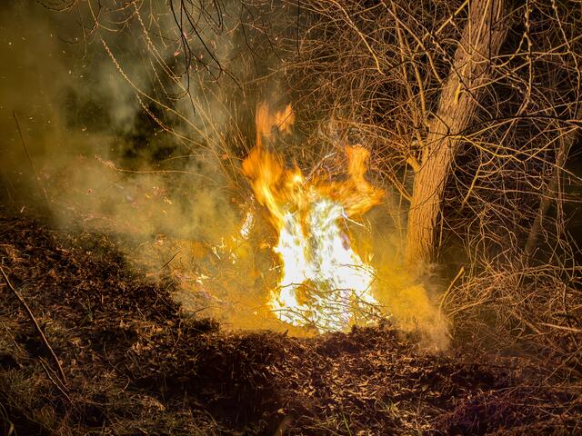Foto: TEAM FOTOKERSCHI / WERNER KERSCHBAUMMAYR