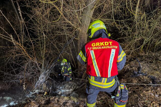 Foto: TEAM FOTOKERSCHI / WERNER KERSCHBAUMMAYR