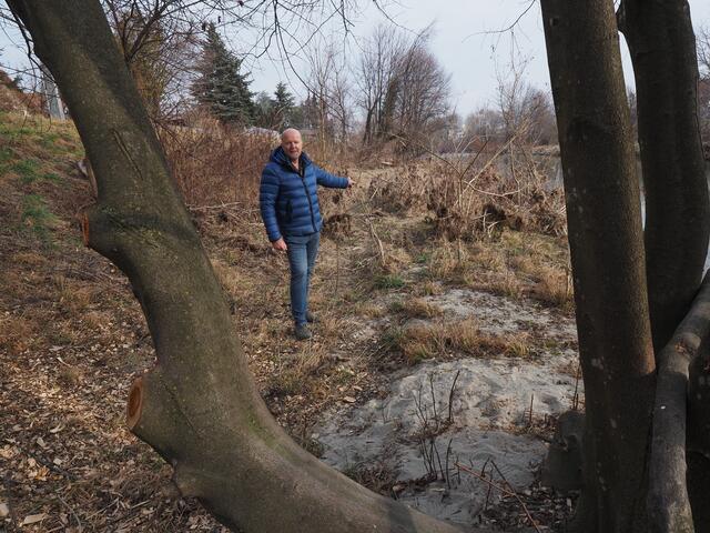 Der Übergang vom unbehandelten Schwarza-Ufer zum, von der IG Schwarze, gepflegten.