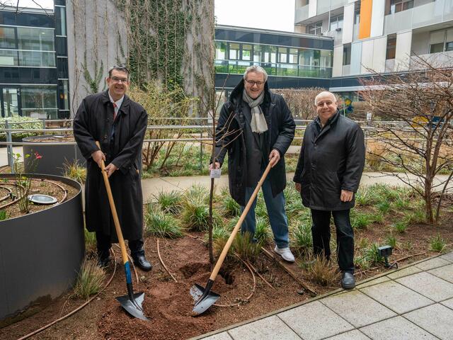Am Donnerstag, 13. Februar, wurde anlässlich des jüdischen Neujahrsbeginns der Bäume ein neuer Baum gepflanzt. IKG-Präsident Oskar Deutsch (l.), Sozialstadtrat Peter Hacker (m.) und Geschäftsführer des Maimonides Zentrums Micha Kaufman (r.). | Foto: Valentina Marinelic/ MeinBezirk 
