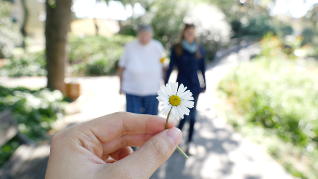 Vorlesen, Karten spielen, spazieren gehen und plaudern sind beliebte Aktivitäten beim Besuchsdienst. | Foto: Hilfswerk NÖ