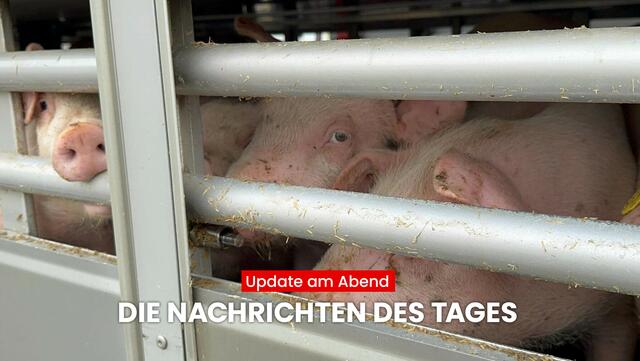  Mit dem MeinBezirk "Update am Abend" erfährst du, was heute in Tirol los war. Das sind die wichtigsten Nachrichten aus Tirol. | Foto: MeinBezirk Tirol / Zoom.Tirol