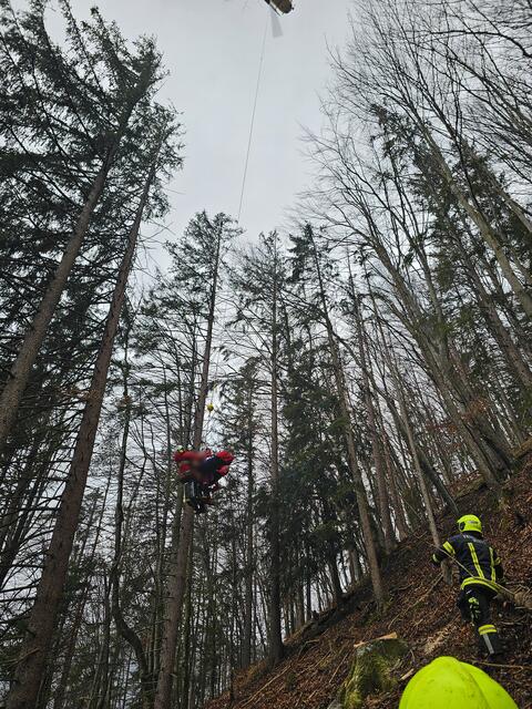 Foto: Bfkdo Amstetten / FF Waidhofen-Wirts