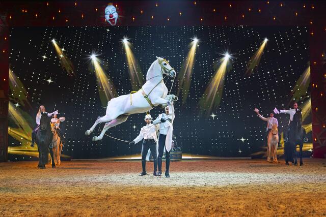 Die Pferde und ihre Reiter werden Kunststücke und waghalsige Manöver zum Besten geben.  | Foto: Cavalluna